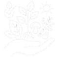 White floral outline design on a white background for sustainability and clean ingredients