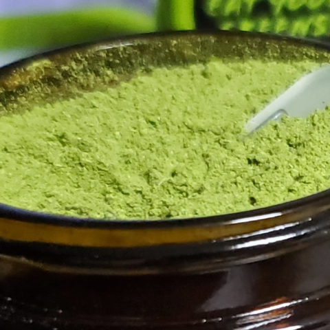 Microgreens Powder close up very green and fresh with scoop by Eat Your Greens Organic Farm in Austin Texas