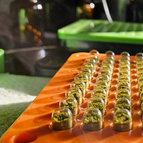 close-up of Green and Gold Capsules being made at Eat Your Greens Organic Farm in Austin Texas