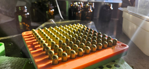 microgreens turmeric and ginger capsules being capsulized with amber bottles in background at Eat Your Greens Organic Farm