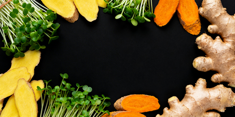 Fresh turmeric and ginger root and microgreens arranged in a circular pattern on a black background
