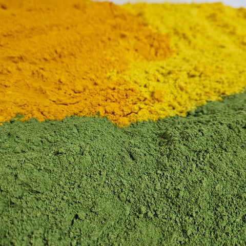 Close-up of gold turmeric and ginger and green microgreens powders next to each other

